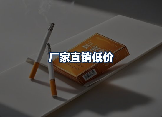 专业团队办公环境
